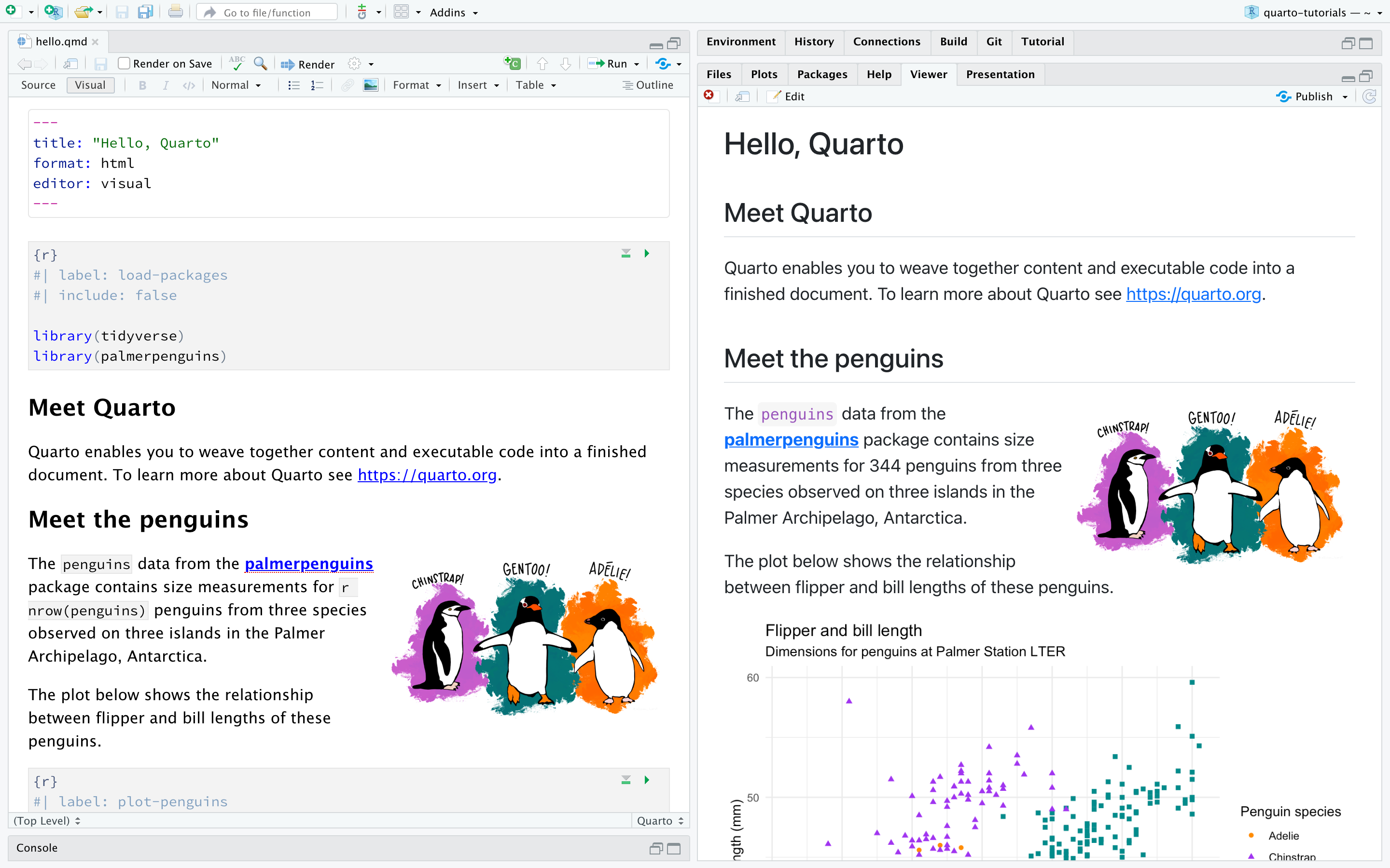 RStudio with a Quarto document entitulado "Penguins, meet Quarto!" open on the left side and the rendered version of the document on the right side